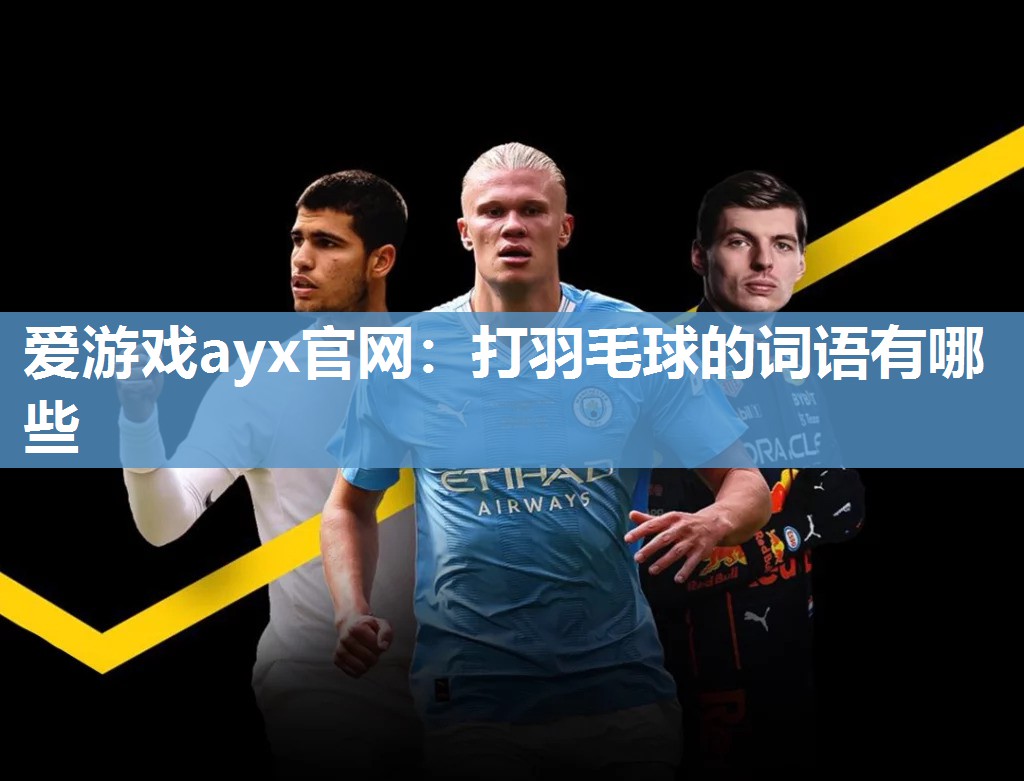 爱游戏ayx官网：打羽毛球的词语有哪些
