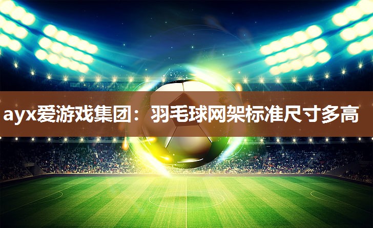 羽毛球网架标准尺寸多高
